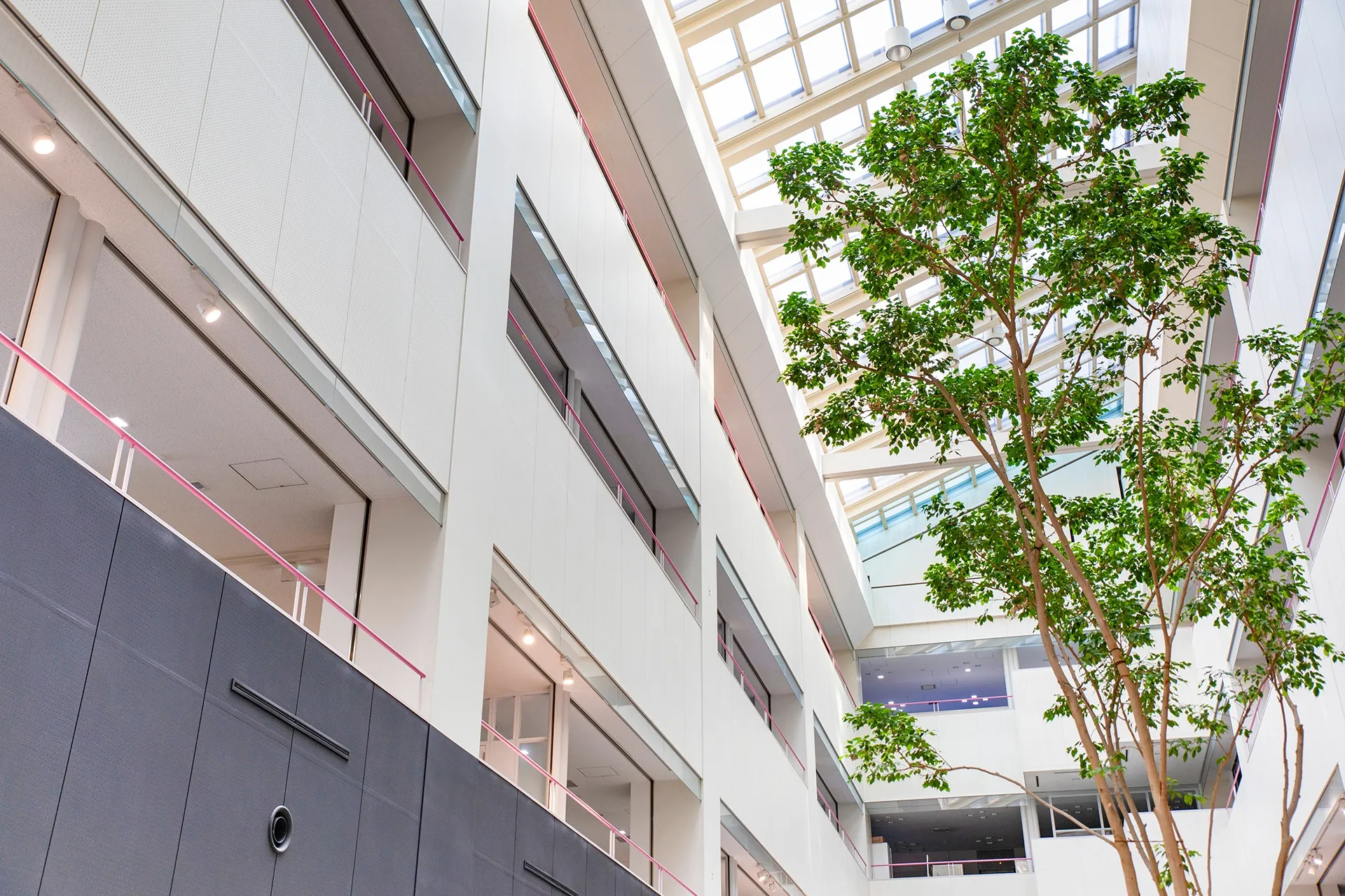 CODESIGN STRUCTURES株式会社